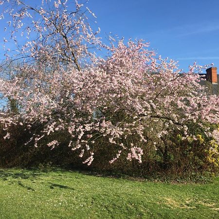 Le Colombier De Royaumont Villa Saint-Arnoult  Eksteriør billede