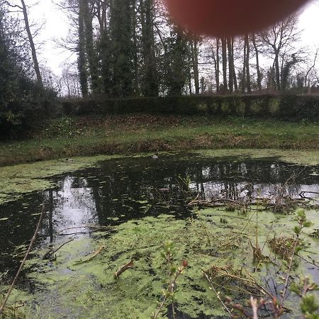 Le Colombier De Royaumont Villa Saint-Arnoult  Eksteriør billede