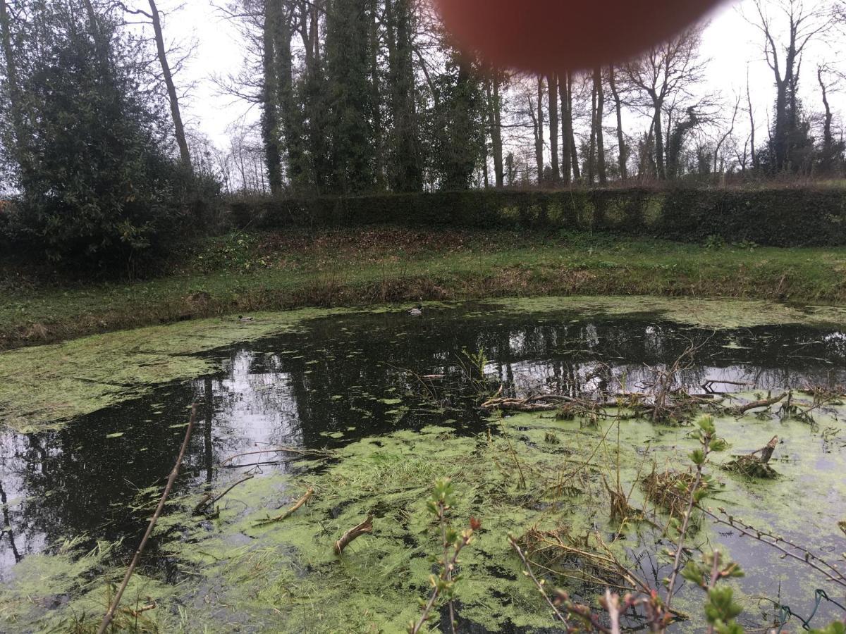 Le Colombier De Royaumont Villa Saint-Arnoult  Eksteriør billede